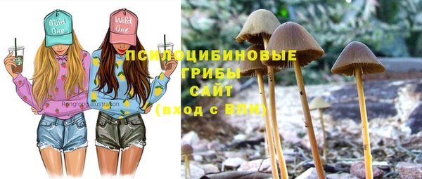 скорость Алзамай