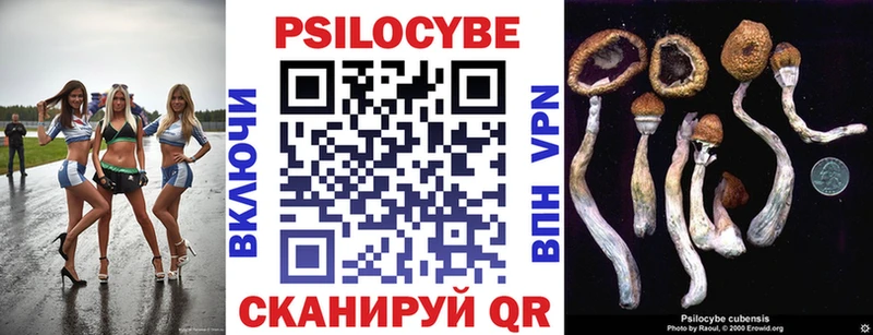 ссылка на мегу зеркало  купить наркотики сайты  Архангельск  Псилоцибиновые грибы Psilocybine cubensis 